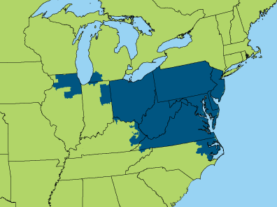 How the PJM Power Grid in the US Skirted Very Close to Blackouts During ...